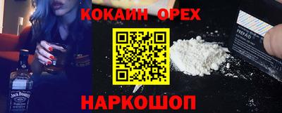 крисы Можга