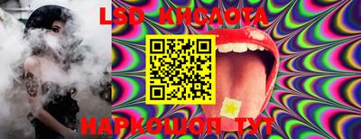 крисы Можга