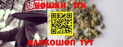 крисы Можга