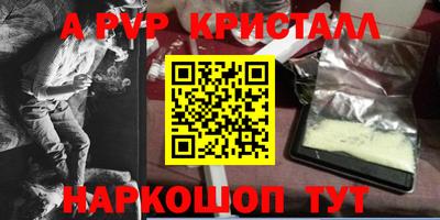 крисы Можга